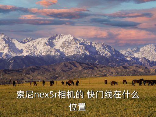 索尼nex5r相機的 快門線在什么位置
