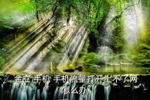  金立 手機 手機流量打開上不了網(wǎng)怎么辦