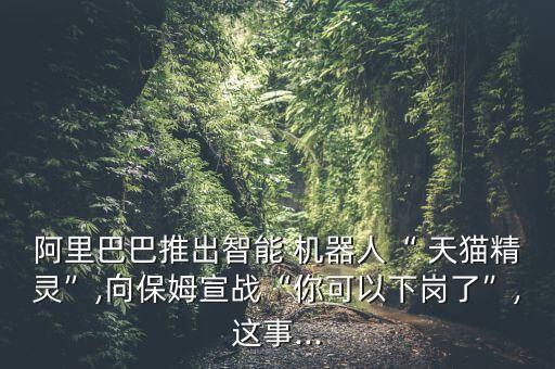 商場里的天貓機(jī)器人,天貓自動(dòng)回復(fù)機(jī)器人設(shè)置