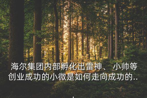  海爾集團內(nèi)部孵化出雷神、 小帥等創(chuàng)業(yè)成功的小微是如何走向成功的...