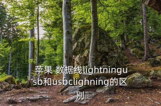 蘋果手機專用數(shù)據(jù)線頭,蘋果數(shù)據(jù)線頭拆解