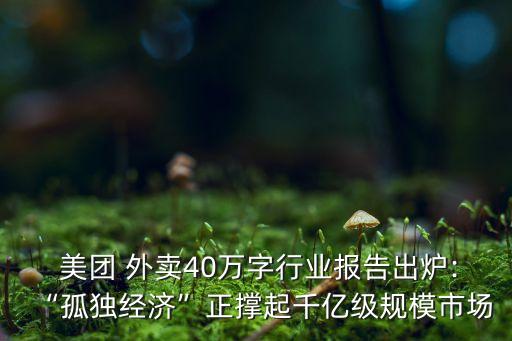 美團(tuán)外賣數(shù)據(jù)分析軟件