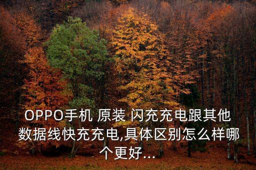 OPPO手機(jī) 原裝 閃充充電跟其他 數(shù)據(jù)線快充充電,具體區(qū)別怎么樣哪個更好...