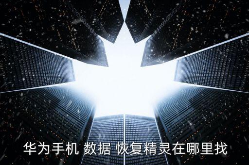 華為數(shù)據(jù)恢復軟件下載,easyrecovery數(shù)據(jù)恢復軟件下載