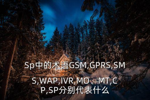Sp中的術(shù)語GSM,GPRS,SMS,WAP,IVR,MO、MT,CP,SP分別代表什么