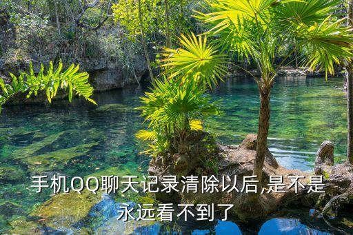 手機(jī)刪除qq數(shù)據(jù)還能看到嗎,蘋果手機(jī)qq文稿和數(shù)據(jù)怎么刪除