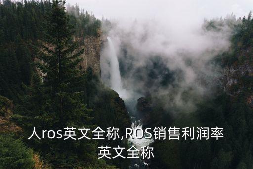 機(jī)器人ros英文全稱,ROS銷售利潤(rùn)率英文全稱