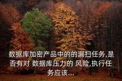 數(shù)據(jù)庫風(fēng)險