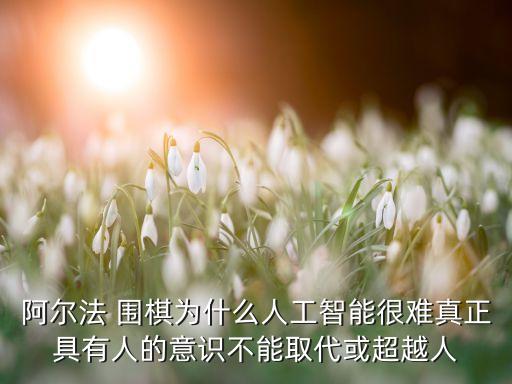 阿爾法 圍棋為什么人工智能很難真正具有人的意識(shí)不能取代或超越人