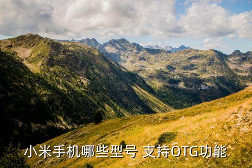 紅米3支持otg數(shù)據(jù)線嗎,支持OTG功能的數(shù)據(jù)線