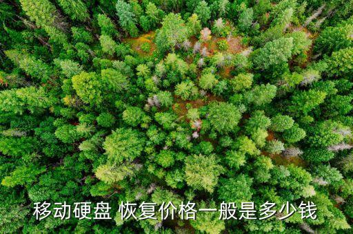 數(shù)據(jù)恢復(fù) 容量?jī)r(jià)格,ontrack數(shù)據(jù)恢復(fù)價(jià)格