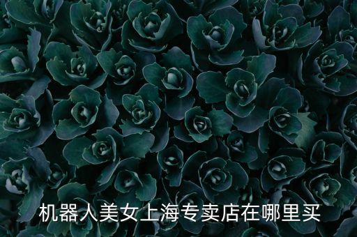 機器人美女上海專賣店在哪里買