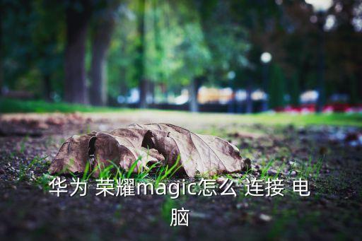 榮耀手機(jī)怎么連接電腦數(shù)據(jù)傳輸