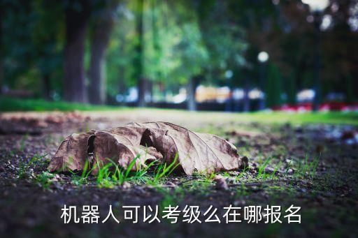  機器人可以考級么在哪報名