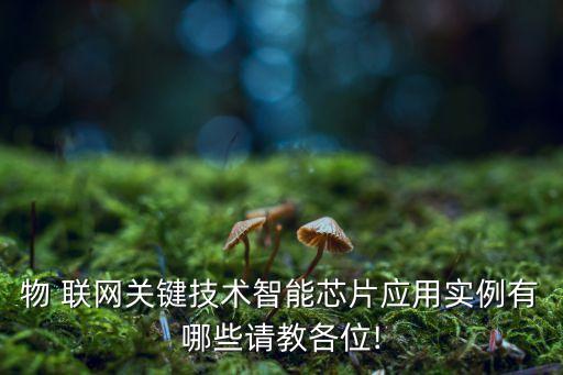 物 聯(lián)網(wǎng)關(guān)鍵技術(shù)智能芯片應(yīng)用實(shí)例有哪些請(qǐng)教各位!
