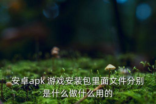安卓apk 游戲安裝包里面文件分別是什么做什么用的