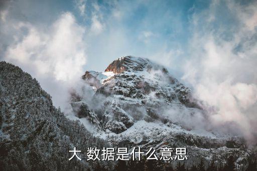 大數(shù)據(jù)的意思啊,數(shù)據(jù)網(wǎng)絡是什么意思