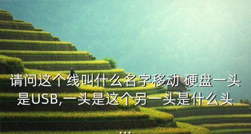 請(qǐng)問(wèn)這個(gè)線叫什么名字移動(dòng) 硬盤一頭是USB,一頭是這個(gè)另一頭是什么頭...