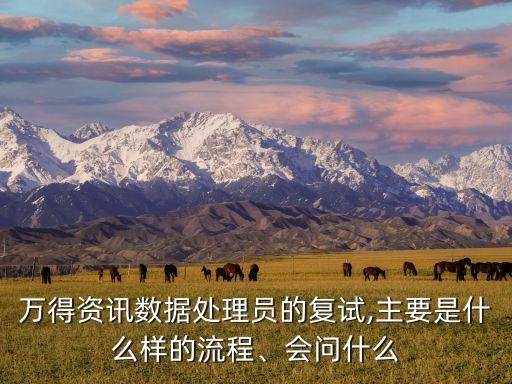 萬(wàn)得資訊數(shù)據(jù)處理員的復(fù)試,主要是什么樣的流程、會(huì)問(wèn)什么