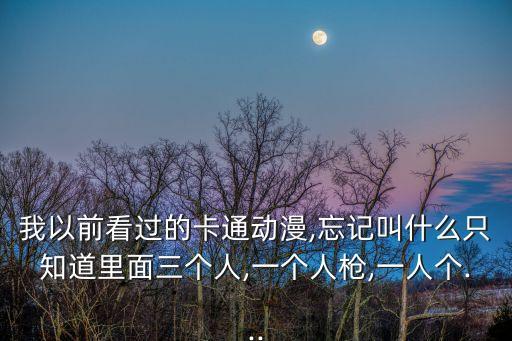 我以前看過的卡通動漫,忘記叫什么只知道里面三個人,一個人槍,一人個...