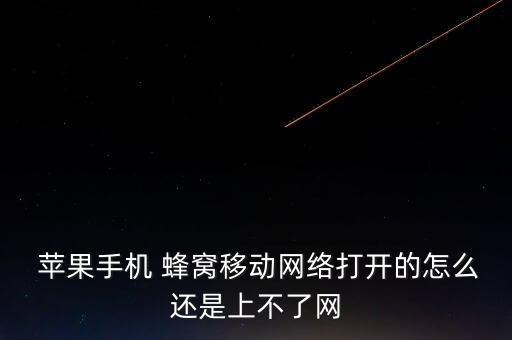  蘋果手機(jī) 蜂窩移動(dòng)網(wǎng)絡(luò)打開的怎么還是上不了網(wǎng)