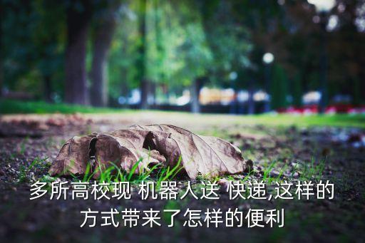 智能快遞 虛擬機(jī)器人,智能送快遞機(jī)器人創(chuàng)業(yè)計(jì)劃書