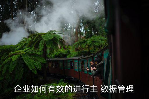 企業(yè)如何有效的進行主 數(shù)據(jù)管理