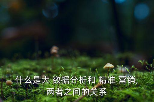 什么是大 數(shù)據(jù)分析和 精準(zhǔn) 營(yíng)銷(xiāo),兩者之間的關(guān)系