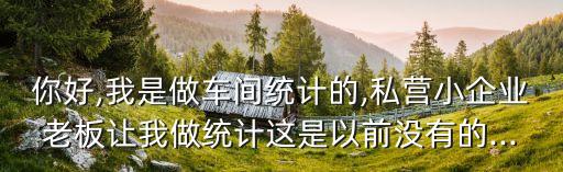 你好,我是做車間統(tǒng)計的,私營小企業(yè)老板讓我做統(tǒng)計這是以前沒有的...