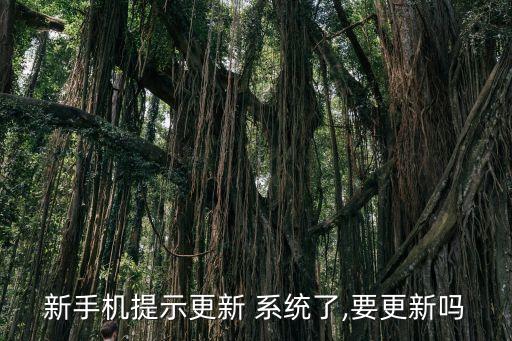 新手機(jī)提示更新 系統(tǒng)了,要更新嗎