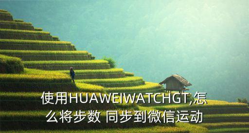 使用HUAWEIWATCHGT,怎么將步數(shù) 同步到微信運動