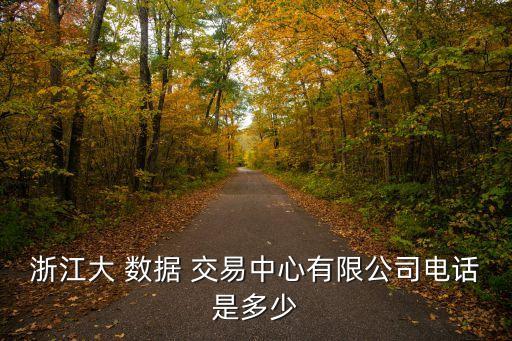 浙江大 數(shù)據(jù) 交易中心有限公司電話是多少