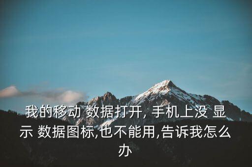 我的移動(dòng) 數(shù)據(jù)打開, 手機(jī)上沒 顯示 數(shù)據(jù)圖標(biāo),也不能用,告訴我怎么辦