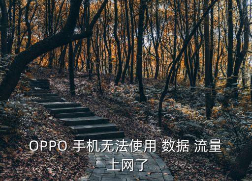 OPPO 手機(jī)無(wú)法使用 數(shù)據(jù) 流量 上網(wǎng)了