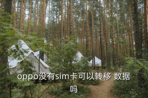 oppo沒有sim卡可以轉(zhuǎn)移 數(shù)據(jù)嗎