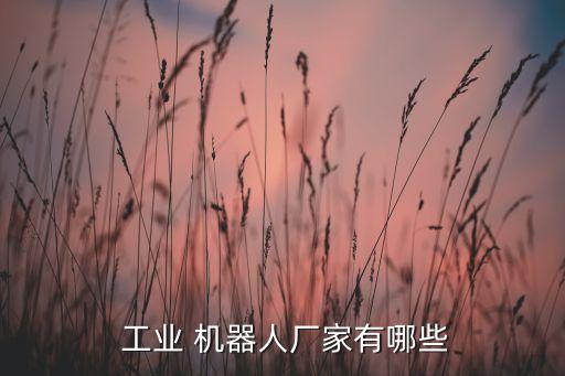  工業(yè) 機(jī)器人廠家有哪些
