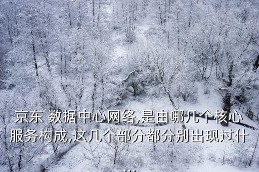 京東 數(shù)據(jù)中心網(wǎng)絡(luò),是由哪幾個(gè)核心服務(wù)構(gòu)成,這幾個(gè)部分都分別出現(xiàn)過什...