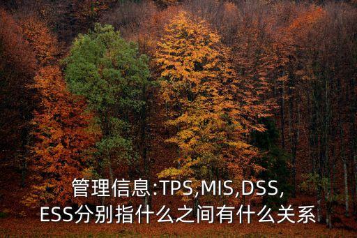 一個(gè)ess 系統(tǒng)使用集中的數(shù)據(jù)