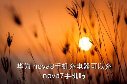  華為 nova8手機(jī)充電器可以充 nova7手機(jī)嗎