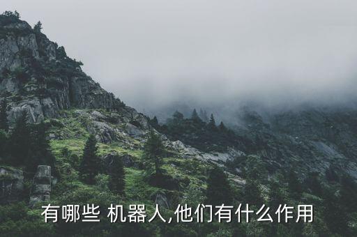 能象人一樣可工作的機器人