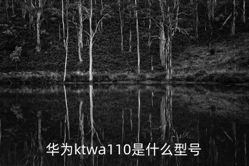 華為ktwa110是什么型號