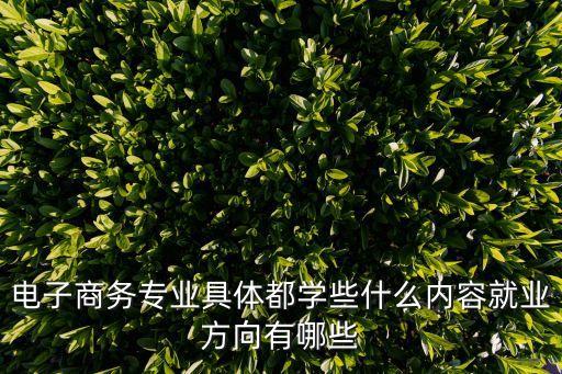 電子商務專業(yè)具體都學些什么內(nèi)容就業(yè)方向有哪些