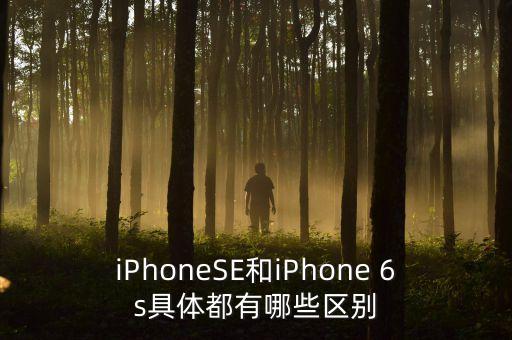 se和6s數(shù)據(jù)線一樣嗎