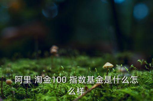 中證淘金大數(shù)據(jù)指數(shù),博時(shí)中證淘金大數(shù)據(jù)
