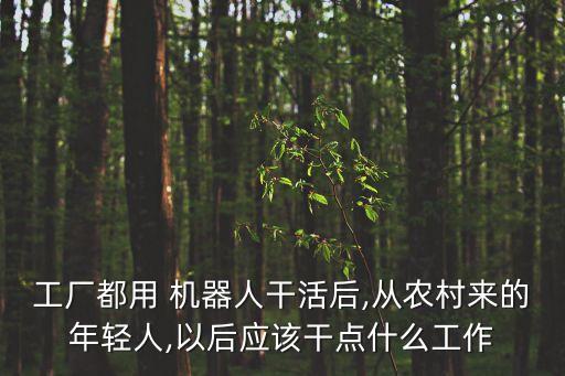 工廠都用 機器人干活后,從農(nóng)村來的年輕人,以后應(yīng)該干點什么工作