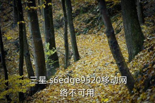 三星 s6edge9520移動網(wǎng)絡不可用