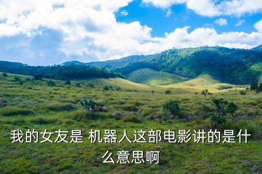 我的女友是 機(jī)器人這部電影講的是什么意思啊