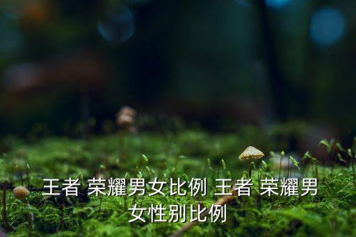 王者榮耀的玩家大數(shù)據(jù),玩加電競王者榮耀數(shù)據(jù)