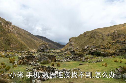 小米 手機(jī) 數(shù)據(jù)連接找不到,怎么辦