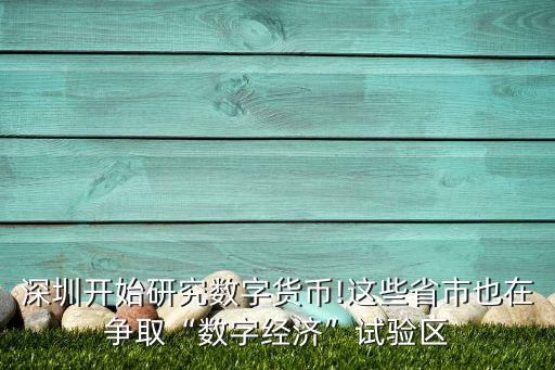 深圳開始研究數(shù)字貨幣!這些省市也在爭(zhēng)取“數(shù)字經(jīng)濟(jì)”試驗(yàn)區(qū)